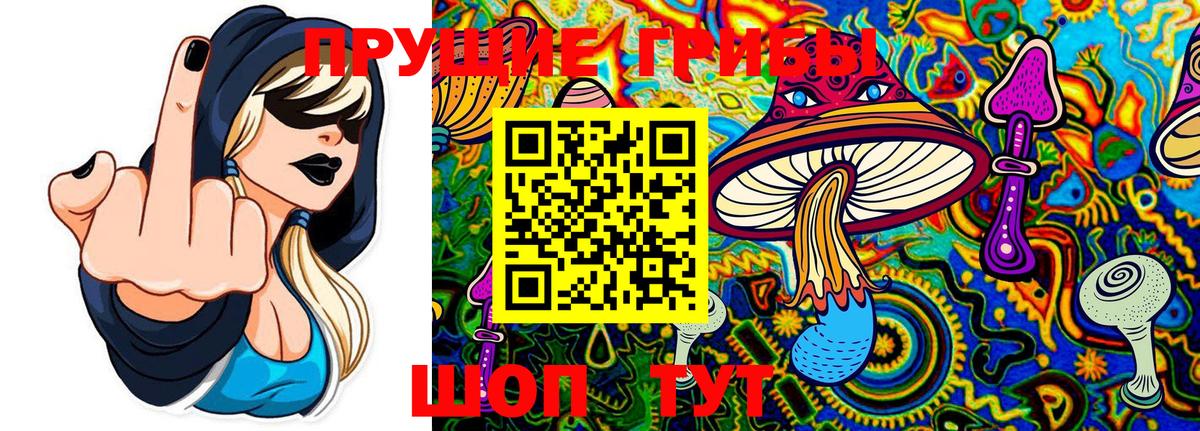 Канск  Галлюциногенные грибы Psilocybe  продажа наркотиков  Вход с VPN 